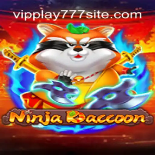 NinjaRaccoon: An Adventurous Journey Unveiled